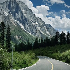 免费看人与拘做受A片
